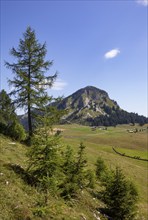 Mountain landscape, alpine huts on the Genneralm with Holzeck, Osterhorngruppe, Salzkammergut,