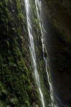 Waterfall. Auvergne volcanoes natural park. Puy-de-Dome department. Auvergne-Rhone-Alpes. France