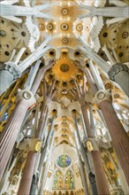 Interior view of the Familia Sagrada by the architect Antonio Gaudi in Barcelona, Spain, Europe