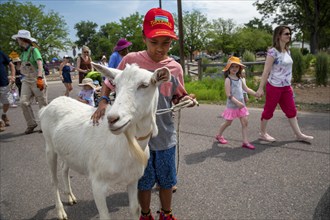 Wheat Ridge, Colorado, Accompanied by admiring children and adults, goats from 5 Fridges Farm