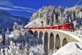 Rhaetian railway on viaduct in winter landscape, near Filisur, Canton Graubünden, Switzerland,