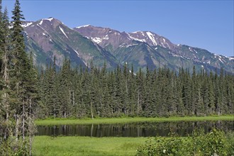 Calm lake in front of high mountains, forest and snow-capped mountains, wilderness, Stewart Cassiar