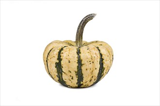 Sweet Dumpling Squash with green stripes on white background