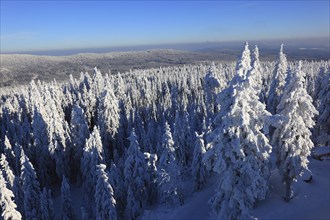 Winter landscape in the Fichtel Mountains, view from the Ochsenkopf, Bayreuth County, Upper