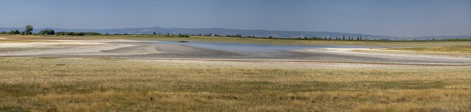 Heavily dried out new break varnish, Lake Neusiedl-Seewinkel National Park, Burgenland, Austria,