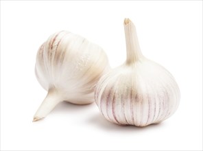 Two garlic bulbs isolated on white background