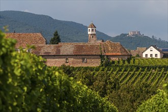 Heilbruck Monastery, Hambach Castle in the background, Edenkoben, Palatinate, Rhineland-Palatinate,