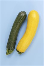 Courgettes (Cucurbita pepo var. giromontiina)