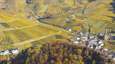 Vineyards in autumn, Mayschoß with parish church, red wine growing region Ahrtal, red wine of the