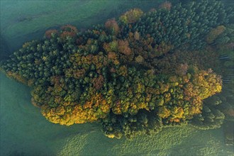 Aerial view of forest in autumn, Alpine foothills, Bavaria, Germany, Europe