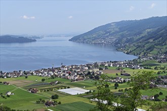 View of the village of Arth on Lake Zug, Canton Schwyz, Switzerland, Europe