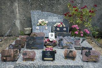 Graves, gravestones, cemetery in Puimoisson, Provence, region Provence-Alpes-Côte d'Azur,