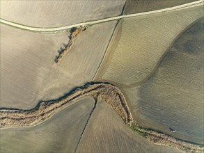 Cultivated fields in winter in the Campiña Cordobesa, the fertile rural area south of the town of