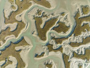 Network of channels and streams at low tide, in the marshland of the Bahía de Cádiz, aerial view,