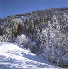 AUT, Austria, Gasteiner Tal: Winter in the Gasteiner Tal, here on 26.12.1994, offers a wealth of