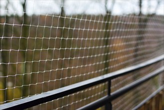 Close up of cat safety net on enclosed balcony for animal protection