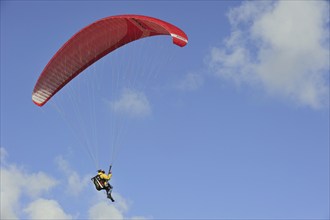 Paraglider with red wing, canopy against blue sky, Brittany, France, Europe