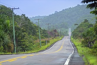 Route 174, BR-174, federal highway crossing the Amazon rainforest, rain forest, jungle in the