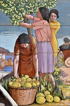 Wall tiles with an image of the lemon harvest, Amalfi, Amalfi Coast, Costiera Amalfitana, Province