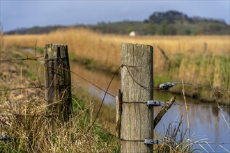 Fence with wooden stakes on the Bodden on Rügen, Mönchgut peninsula, Mecklenburg-Western Pomerania,