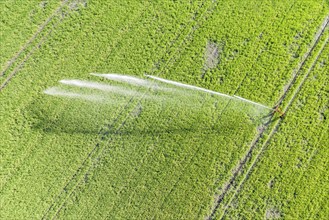 Farmland irrigation during dry summer, Celle, Germany, Europe