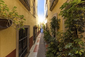 Zacatecas, Mexico, colorful colonial old city streets in historic center near central cathedral,