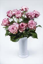 Red and white roses in a KPM vase