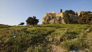 Morning light, St John's fortress, ascent to the Acropolis, Lindos, green meadows, Rhodes,