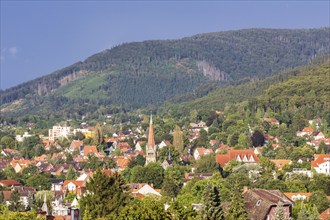 Bad Harzburg, 10.08.2014., Bad Harzburg, Germany, Europe