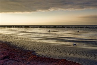 Sunset on the Baltic Sea beach, Wustrow beach in the evening light with clouds, evening mood,