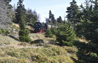 Brocken Railway of the Harz Narrow Gauge Railway runs through the Harz Mountains, Saxony-Anhalt,