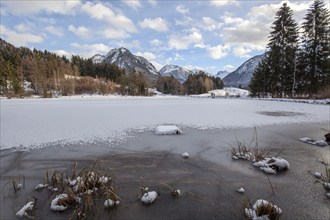 Moor, moor pond, icy, covered with snow, behind Allgäu Alps, Oberstdorf, Oberallgäu, Allgäu,