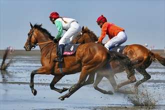 Two riders, horses at a gallop, gallop race in the mudflats, Duhner Wattrennen 2019, Duhnen,