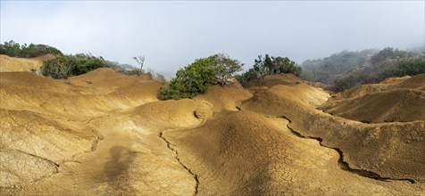 Clouds of fog, yellow earth, erosion, near Arguamul, La Gomera, Canary Islands, Spain, Europe