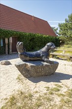 Seal, statue, entrance to the museum, Darßer Ort, Born a. Darß, Mecklenburg-Western Pomerania,