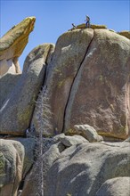 Men rock climbing on a large granite boulder in the Vedauwoo Recreation Area of Medicine Bow