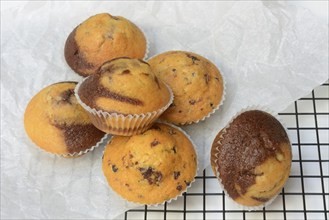 Chocolate muffins, chocolate muffin