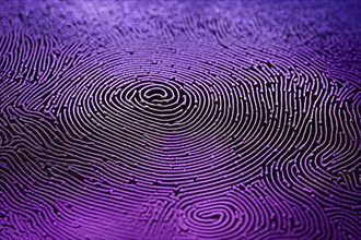 Fingerprint background dominated by swirl patterns in purple hues, AI generated