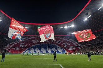 Choreo, choreography, fan action, flags, flag waving, interior, DFB Cup round of 16, Allianz Arena,