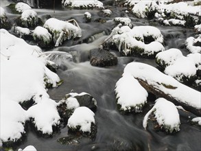 Hill Stream, the Schwartzbach, in snow and ice in November. The Rhön UNESCO Biosphere nature