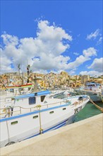 View of Sciacca harbour, Sciacca, Agrigento district, Sicily, Italy, Europe