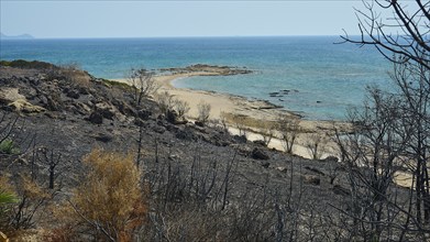 Burnt coastal landscape with a view of the beach and the turquoise blue sea, burnt-out bushes,