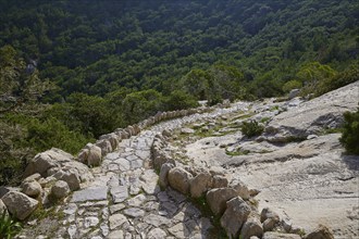 Winding, stony path through a forest full of rocks, Kastro Monolithou, Monolithos Castle, rock