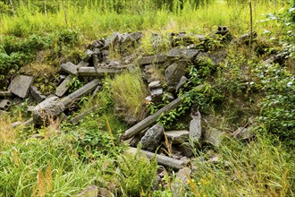 Post-mining landscapes near Altenberg, Altenberg, Altenberg, Saxony, Germany, Europe