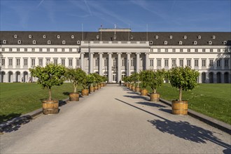 The Electoral Palace in Koblenz, Rhineland-Palatinate, Germany, Europe