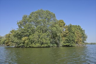 Island Großer Wall, Havel, Hakenfelde, Spandau, Berlin, Germany, Europe