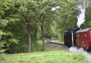 Selketalbahn, Harzer Schmalspurbahn, Brockenbahn runs through the Harz Mountains, Saxony-Anhalt,