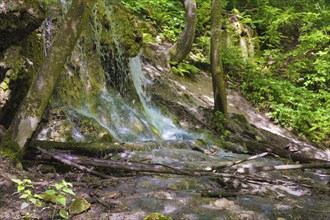 Small waterfall at the Gönningen lakes, calcareous tufa nature trail, idyll, nature, at the foot of