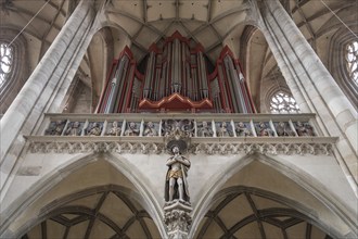 Organ loft, organ built in 1997, late Gothic hall church of St George, Dinkelsbühl, Bavaria,