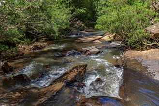 A stream of calm waters running through the rainforest between the rocks Minas Gerias, Brazil,